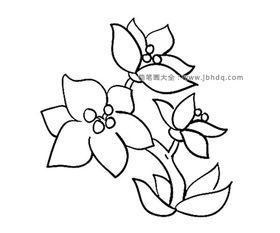 花朵图片大全简单漂亮