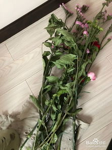 鲜花买回来怎么保鲜