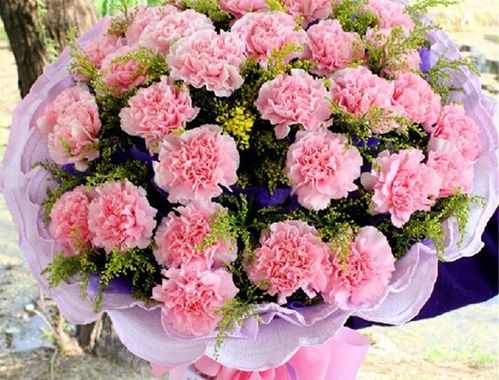 母亲节送康乃馨的花语