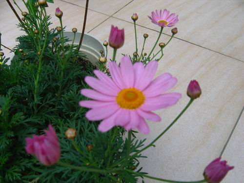 遂宁论坛 花花