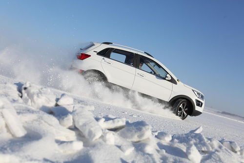 汽车雪地龙价格多少