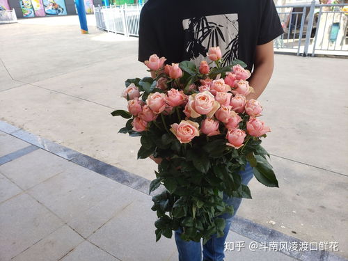 云南昆明鲜花批发