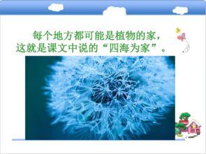 植物传播种子的方法二年级上册