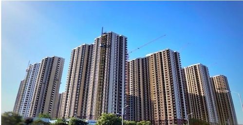 房产大V号怎么起名