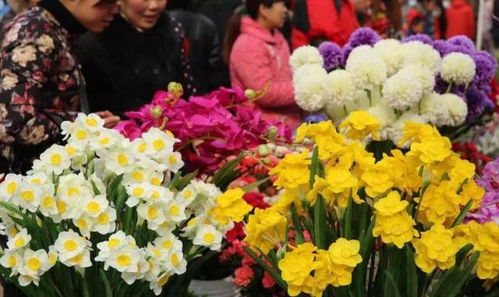 搜索 遂宁网花花城