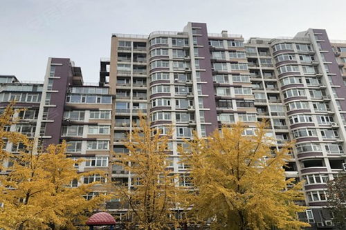 房产景观招聘要求怎么写 房产景观招聘要求怎么写