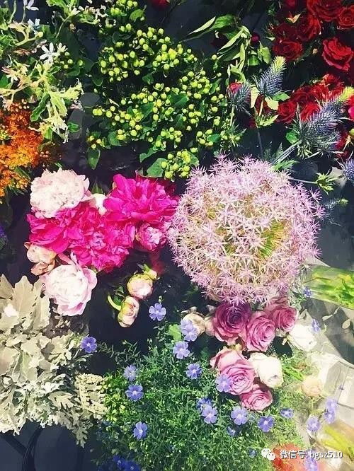 鲜花店取什么名字大全