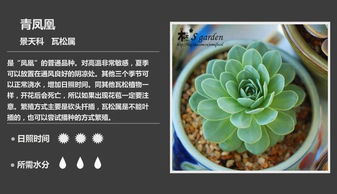 1200种多肉植物图鉴