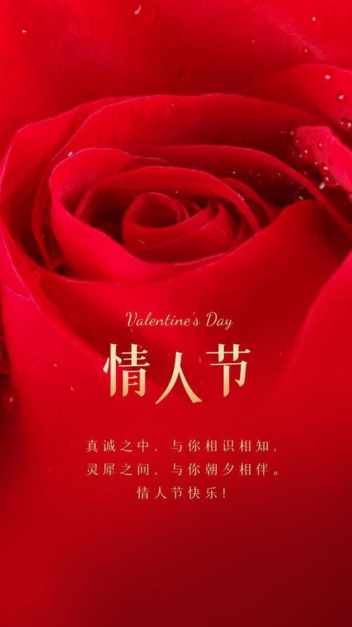 情人节文案短句