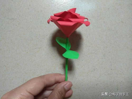 简单又漂亮的玫瑰花