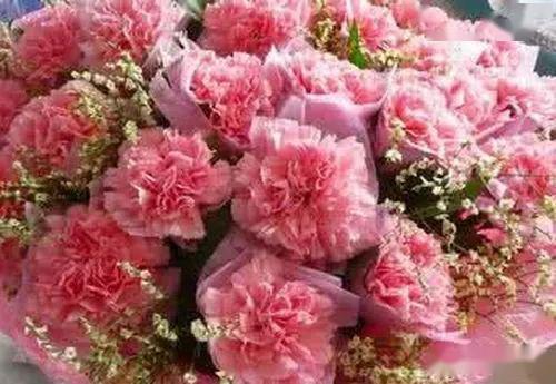 什么花的花语是永恒的爱