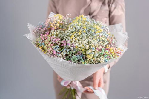 蓝色满天星花语代表什么