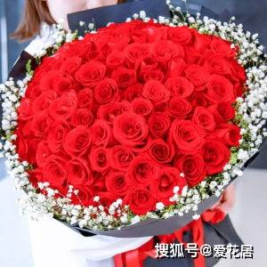 情人节玫瑰花多少钱一支