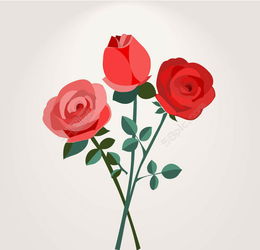 玫瑰花图片头像