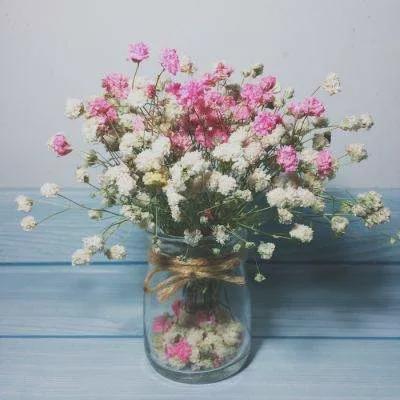 花的图片真实