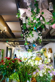 南阳花店
