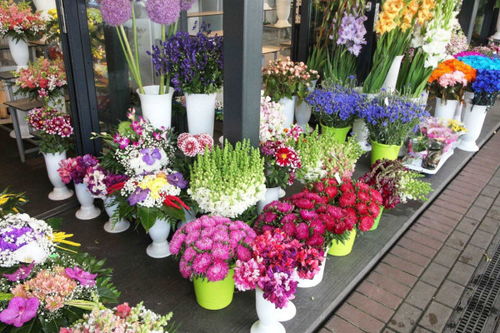 附近鲜花店的地址 附近鲜花店的地址