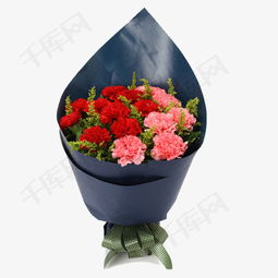 康乃馨花的图片大全 最美