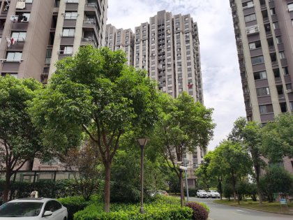 紫薇这怎么看房产