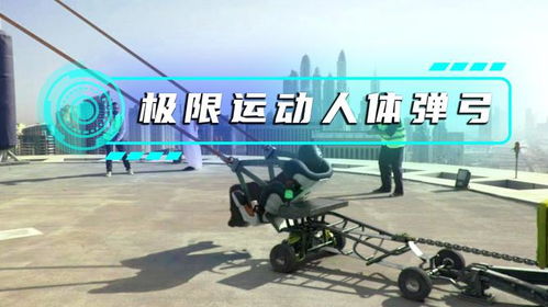 美国弹弓游戏有哪些游戏