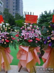 深圳订花送花