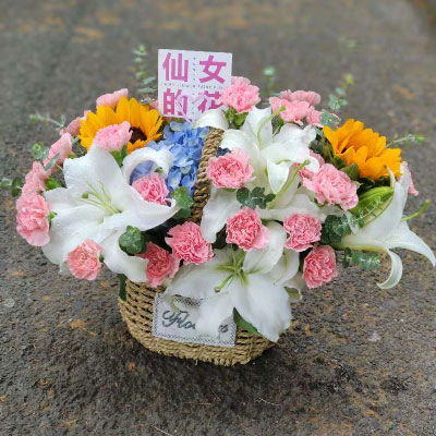 粉玫瑰花语11朵