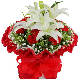 送父亲生日鲜花送什么花(送父亲生日鲜花送什么花合适)