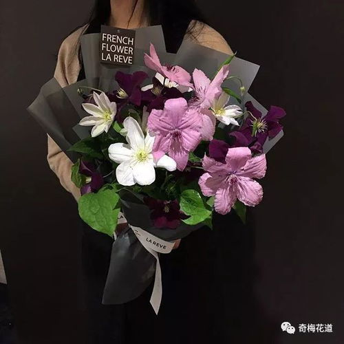 十二星座的幸运花(十二星座的幸运花是什么)