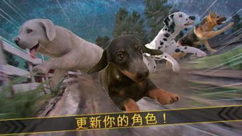 二狗都会哪些游戏