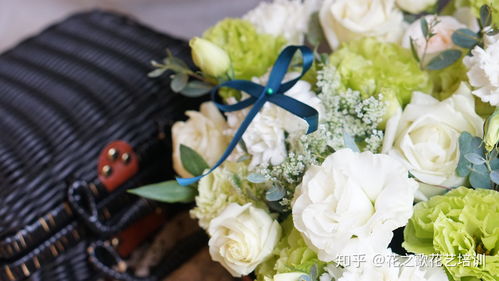 洋甘菊和小雏菊区别(小雏菊)