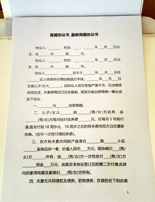 离婚小孩和房产怎么划分(离婚小孩和房产怎么划分的)