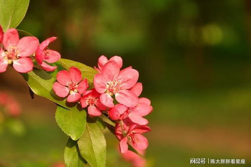 七月水瓶座近期桃花运势如何