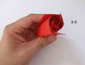 折一朵简单的玫瑰花正方形的纸