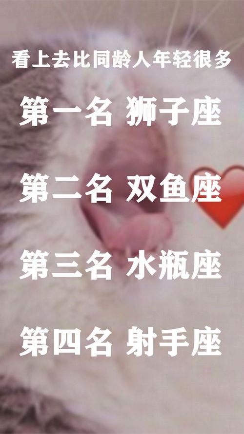 摩羯女近期爱情运势如何呢