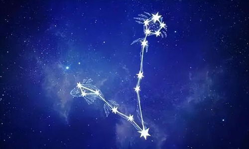 摩羯座近期运势第一星座是什么