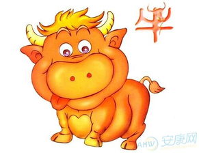 61年属牛男近期运势如何