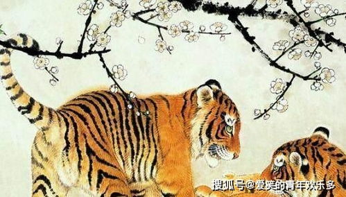 50年虎近期运势怎样样呢