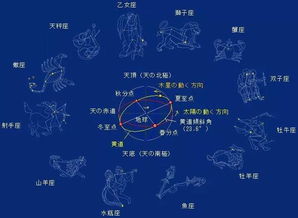 b型双鱼座近期运势如何