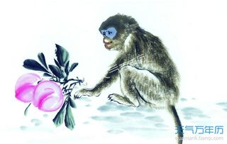 今日运势：水墨生肖猴今日运势（生肖猴今日运势神巴巴）