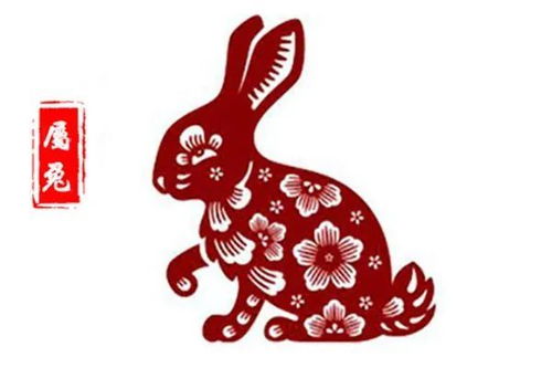 今日运势：生肖鸡今日运势图（生肖鸡今日运势水墨先生）