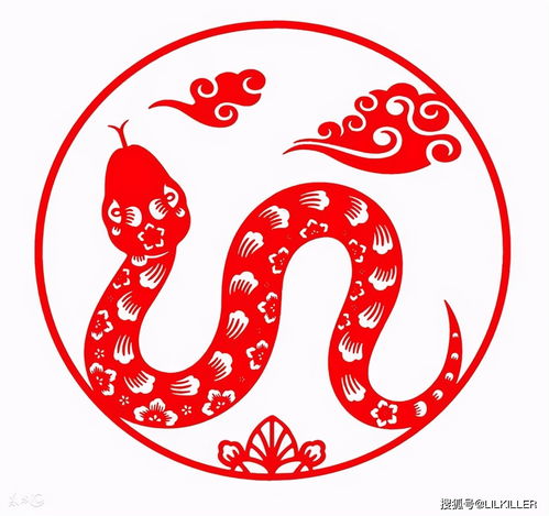今日运势：生肖蛇今日生肖运势（生肖蛇今日运势神巴巴）