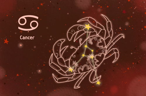 感情运势：双子座今年的运势感情（双子座今年的运程）