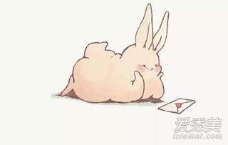 今日运势：兔女今日恋情运势（属兔女今日运势十二星座网）