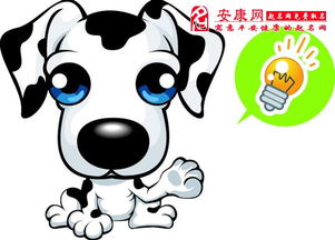 今日运势：生肖狗的运势今日（生肖狗今日运势查询下）