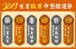 今日运势：生肖猴男今日运势（生肖猴男今日运势如何）