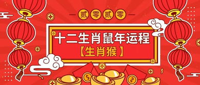 今日运势：易经之今日生肖运势（生肖今日运程解析）