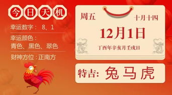 今日运势：今日运势12月1（12月1日生肖运势）
