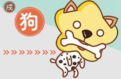 今日运势：今日生肖鼠运势大全（生肖鼠今日运势解析）
