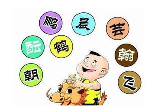 宝宝取名：煤球宝宝取名不用黑字怎么取（煤球宝宝取名不用黑字怎么取名）