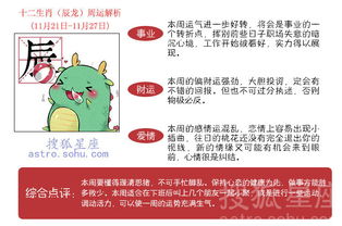 今日运势：今日上佳生肖运势图（今日生肖财运运势查询）